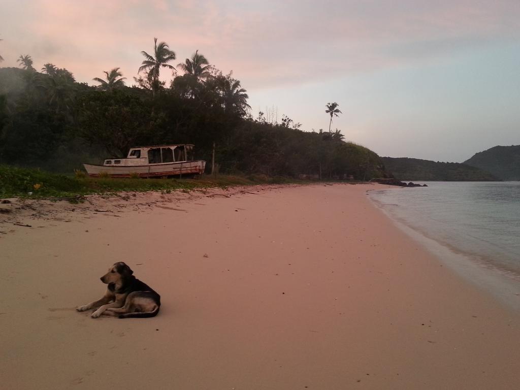 Yasawa Homestays Naisisili Exterior photo
